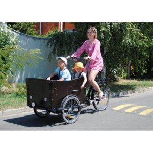Велорикша Vega Riksha-1