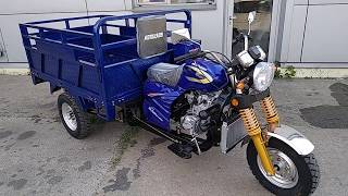 Грузовой бензиновый трицикл MotoLeader ML 250 Hercules - Зображення 9