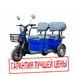 Электротрицикл VEGA HELP 650