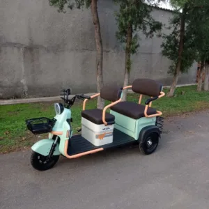 Пасажирський електроскутер HELP 650 new (Green), Vega
