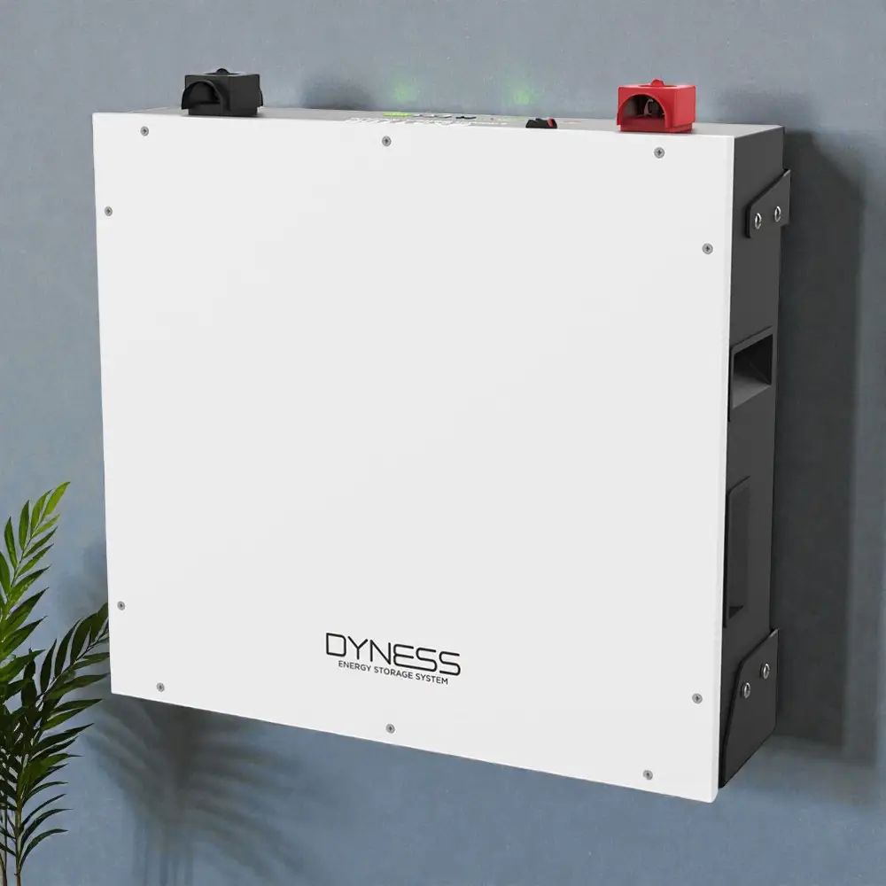Акумулятор Dyness DL5.0C Heating (5,12 кВт·год / 51,2 В)