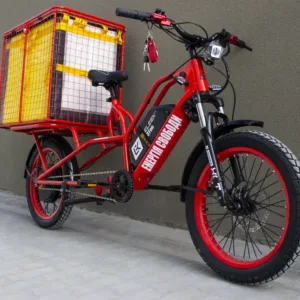 Електробайк 3Ton, Eleek
